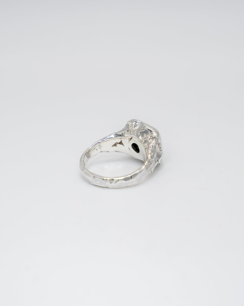 The Warden Ring